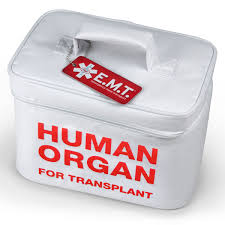 Learn more about organ transplants, including the risks, benefits, and considerations to make, here. Why Not Buy And Sell Human Organs Shout Out Uk