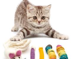 cat playing with a yarn mouseの画像