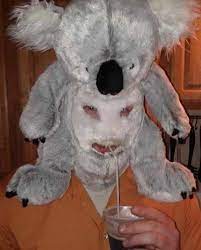 Pin By Elaina Siegfried On Cursed Images Strange Photos Cursed Images Funny Pictures