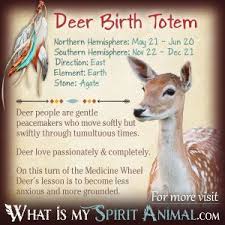 Native American Zodiac Astrology Birth Signs Totems Native American Zodiac Signs Native American Zodiac Native American Astrology
