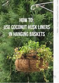 This will make your hanging lines sturdier(two ply) and also allow you to do some rudimentary macramé on the. How To Use Coconut Husk Liners In Hanging Baskets Hanging Baskets Hanging Flower Baskets Planting Flowers