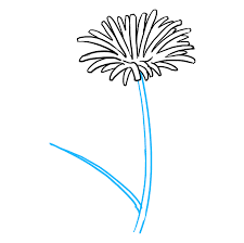 This dandelion doodle is perfect for art journals, bullet journals and the best news is that once i broke a dandelion drawing down into easy steps it was super simple. How To Draw A Dandelion Really Easy Drawing Tutorial
