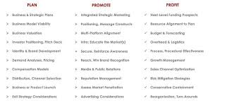 What is a business development plan. Strategy Global Business Development C Award Winning Top 1 Consulting