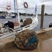 Dunedin To Manatee River