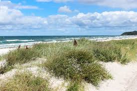 Besonders beliebte ferienwohnungen auf hiddensee liegen in den typischen reetgedeckten ferienhäusern der insel, die sich oft direkt am strand befinden. Hiddensee Ferienwohnungen Ferienhauser Flott Buchen
