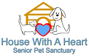 House With A Heart Senior Pet Sanctuary Inc Wtop Pets Senior Dog Sanctuary