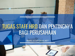 Tugas Staff Hrd Pendidikan Psikologi