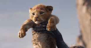 Lion, large, powerfully built cat that is second in size only to the tiger. How The New Lion King Film Could Help The Real Life Lion Crisis