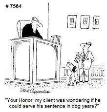 Collection by ferguson & ferguson • last updated 4 weeks ago. 900 Lawyer Cartoons Ideas In 2021 Lawyer Jokes Legal Humor Lawyer Humor