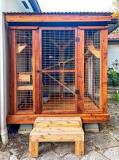 Cedar Wood: The Optimal Lumber Choice for a Catio - Cat Topia