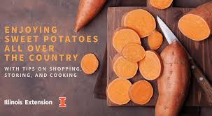 Placed in a hot environment that the quality is beginning to. Enjoying Sweet Potatoes All Over The Country University Of Illinois Extension