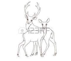 cerf dessin livre de coloriage couple daims isole illustration herbe enfants