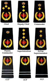 This cap insignia consists of. China Canadian Armed Forces Ranks And Insignia China Army Slip Ons And Canadian Army Insignia Price