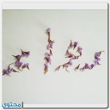 معنى اسم رواء وصفات من تحمله موقع محتوى