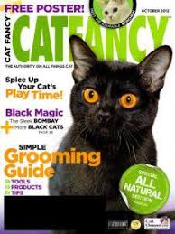 Buying and selling should rather be an enjoyable experience and classifiedsfactor has done a phenomenal the classified site covers a wide variety of adverts from used cars to properties to rent to pets for sale, etc. Get Cat Fancy For Just 7 99 A Year