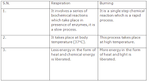 The second video helps synthesize the information students learned from the video and slideshows. Chapter 5 Physical And Chemical Changes Frank Modern Certificate Solutions For Class 9 Chemistry Icse Topperlearning