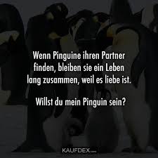 Wenn Pinguine Ihren Partner Finden Bleiben Sie Ein Leben Kaufdex Beruhmte Liebeszitate Pinguin Zitate Susse Zitate