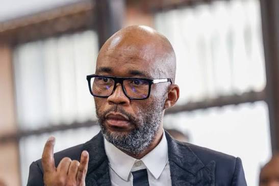 Police's tender with 'Cat' Matlala part of SAPS R650m irregular expenditure | News24