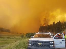 British columbia what you need to know about b.c. The Science Behind Bc S Forest Fires West Coast Environmental Law