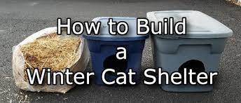 How To Build A Winter Cat Shelter In 5 Easy Steps Thistle Downs Farm Cat Shelters For Winter Cat Shelter Outdoor Cat Shelter