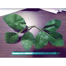 Maybe you would like to learn more about one of these? Daun Bunga Mawar Artificial Shopee Indonesia