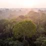 Indígenas en Putumayo rechazan proyectos de bonos de carbono