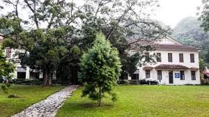 The forest research institute malaysia (frim; Forest Research Institute Malaysia Frim A Day In The Rain Forest In Kuala Lumpur By Tourtourist Com Forest Research Institute Malaysia 2 014 Followers On Linkedin Kumpcixzt
