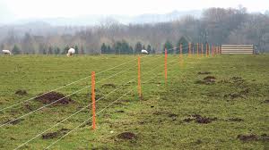 An electric fence is a barrier that uses electric shocks to deter animals or people from crossing a boundary. How To Use Electric Fences With Sheep Insights Farmers Guardian