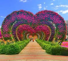 Dubai Miracle Garden Miracle Garden Cool Pictures Of Nature Flower Garden