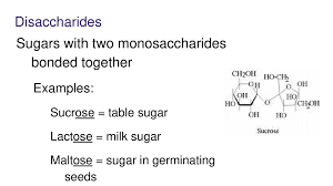 Macromolecules Chart Notes Ppt Download