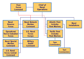 Us Navy Operating Forces Organization Navy