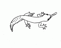 Blockheadsdoctor who paintings, digital art, drawings, and posters. Gecko Coloring Pages Coloring Home