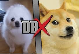 When did the dog memes start? Doge Vs Gabe The Dog Dbx Fanon Wikia Fandom