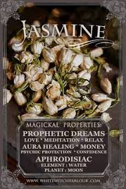 Dried Jasmine Flowers Jasminum Officinale For Love Meditation Relaxation Prophetic Dreams Healing The Aura Psychic Magickal Herbs Magic Herbs Herbalism