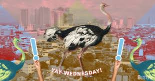 Yay Wednesday The Most Hilarious Memes From That Bizarre Runaway Ostrich Incident 8list Ph The images are accompanied by a series of poorly written your mom jokes, hacking threats and other trolling remarks. bizarre runaway ostrich incident 8list ph