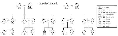 hawaiian kinship wikipedia