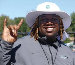 An avalanche of media