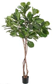 Kunst Ficus Lyrata Harvey Naturstamme Grun 190cm In 2020 Geigenfeige Kunstlicher Baum Ficus