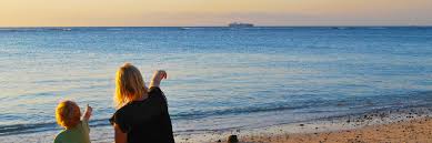 De n ai fi fost tu. De N Ai Fi Tu Simona Dobrin Poezii Pentru ViaÈÄ