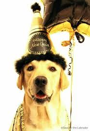 Pin By Renee Grimsman On Cute Animals With Images Happy New Year Dog Labrador Dog Dog Love