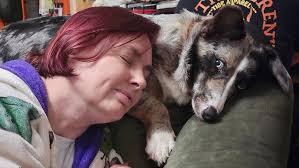 Photo posted by Felipe Paes Gomes (@felipe.paes)