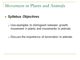 Terrestrial Locomotion | Animal Locomotion, Quadrupedalism & Biomechanics |  Britannica