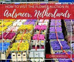 However, the complex itself certainly still holds secrets for its many visitors. How To Visit The Aalsmeer Flower Auction From Amsterdam The Netherlands Cheeseweb