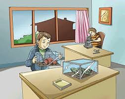 Maybe you would like to learn more about one of these? Zoo Zoa Zo Zoic Zoid Zoite Zoal Zonal Zooid Zoon Zoa Zoan Word Information