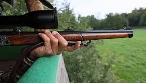 L'exception du gibier d'eau : Accident De Chasse En Correze Une Balle De Fusil Finit Sa Course Dans Une Maison