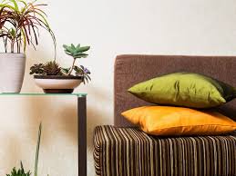 Succulents, orchids, cacti, air plants, pothos, rubber plants 10 Vastu Plants For Money Happiness And Positive Energy At Home Architectural Digest India
