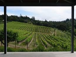 Baker Lane Vineyards