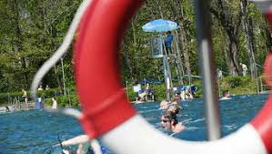 Frankfurt Fruhe Schwimmer Zieht S Nach Hausen Frankfurt