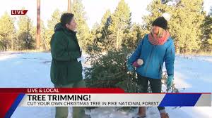 You're allowed to cut down a free tree (for the purpose of christmas festivities, mind you) from crown lands, but … you need a permit. Here S Where To Go Cut Your Own Christmas Tree In Southern Colorado Fox21 News Colorado