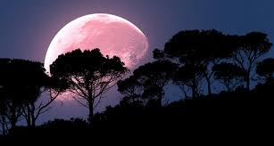 Gerhana terjadi bersamaan dengan supermoon dan bulan purnama kelima dalam. Malam Ini Warga Indonesia Bisa Lihat Fenomena Supermoon Pink Terbesar